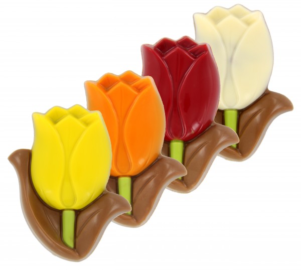 Vollmilch Tulpen